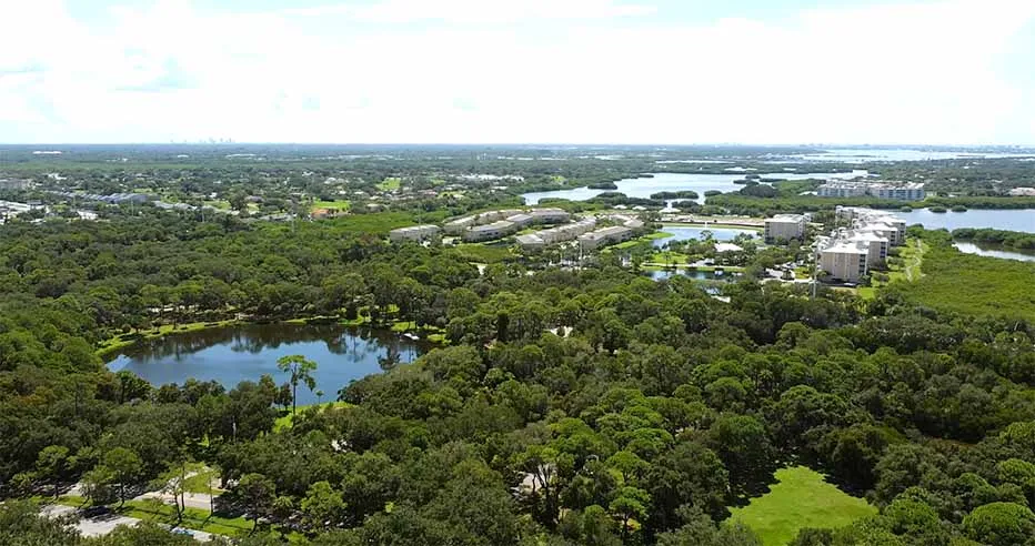 seminole Fl dumpster rental